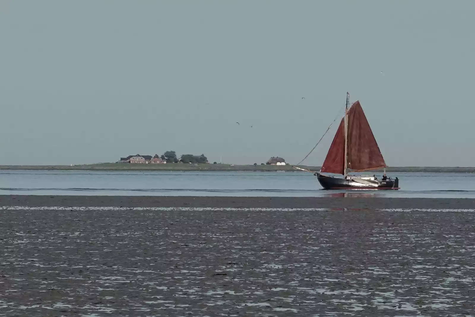 Traditionssegler auf dem Wattenmeer vor Föhr