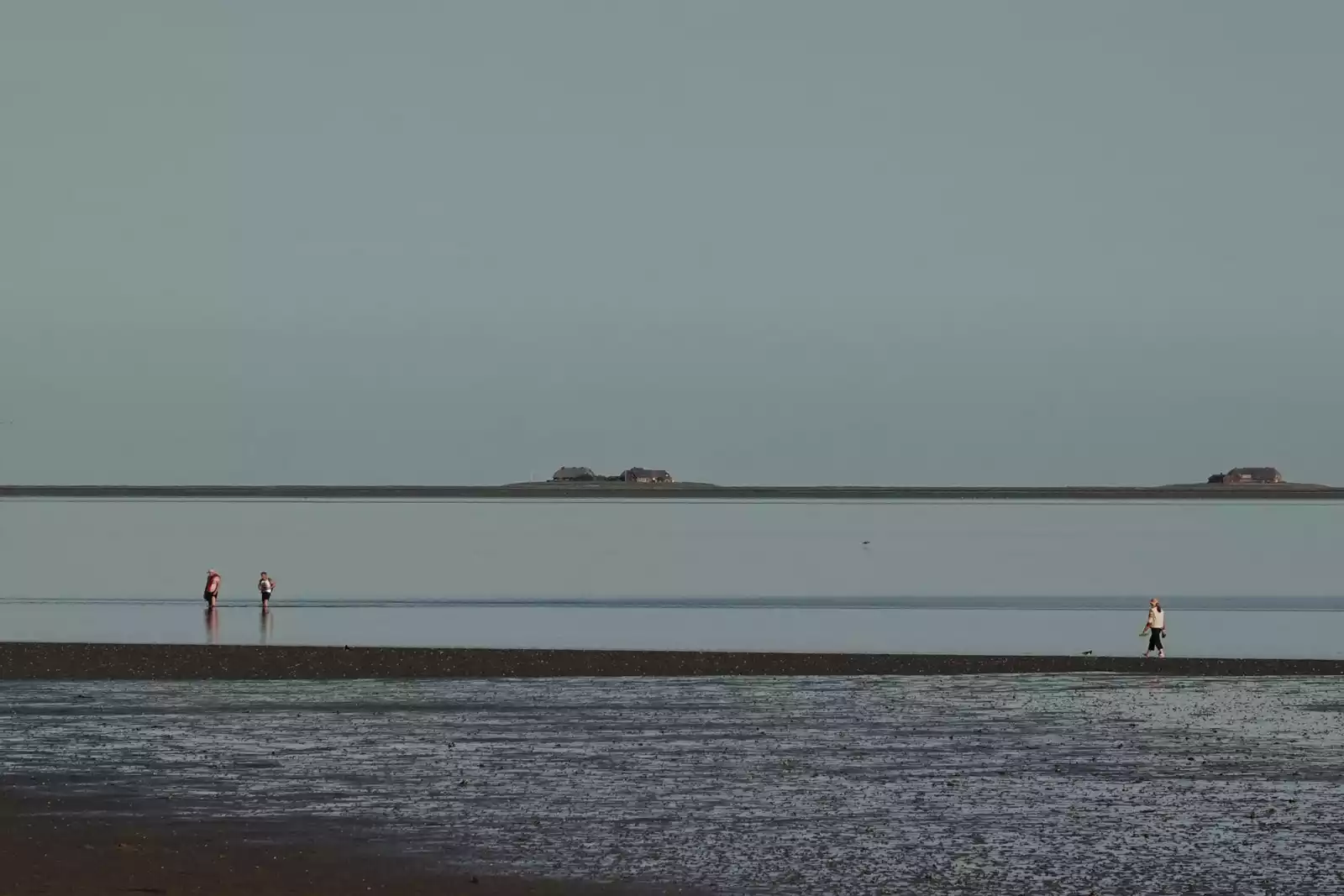 Menschen bei Ebbe im Wattenmeer vor Föhr